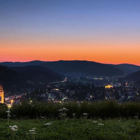 Drei Tannen - Wohnung 12 - Apartmenthaus, Titisee, Nahe Badeparadies المظهر الخارجي الصورة