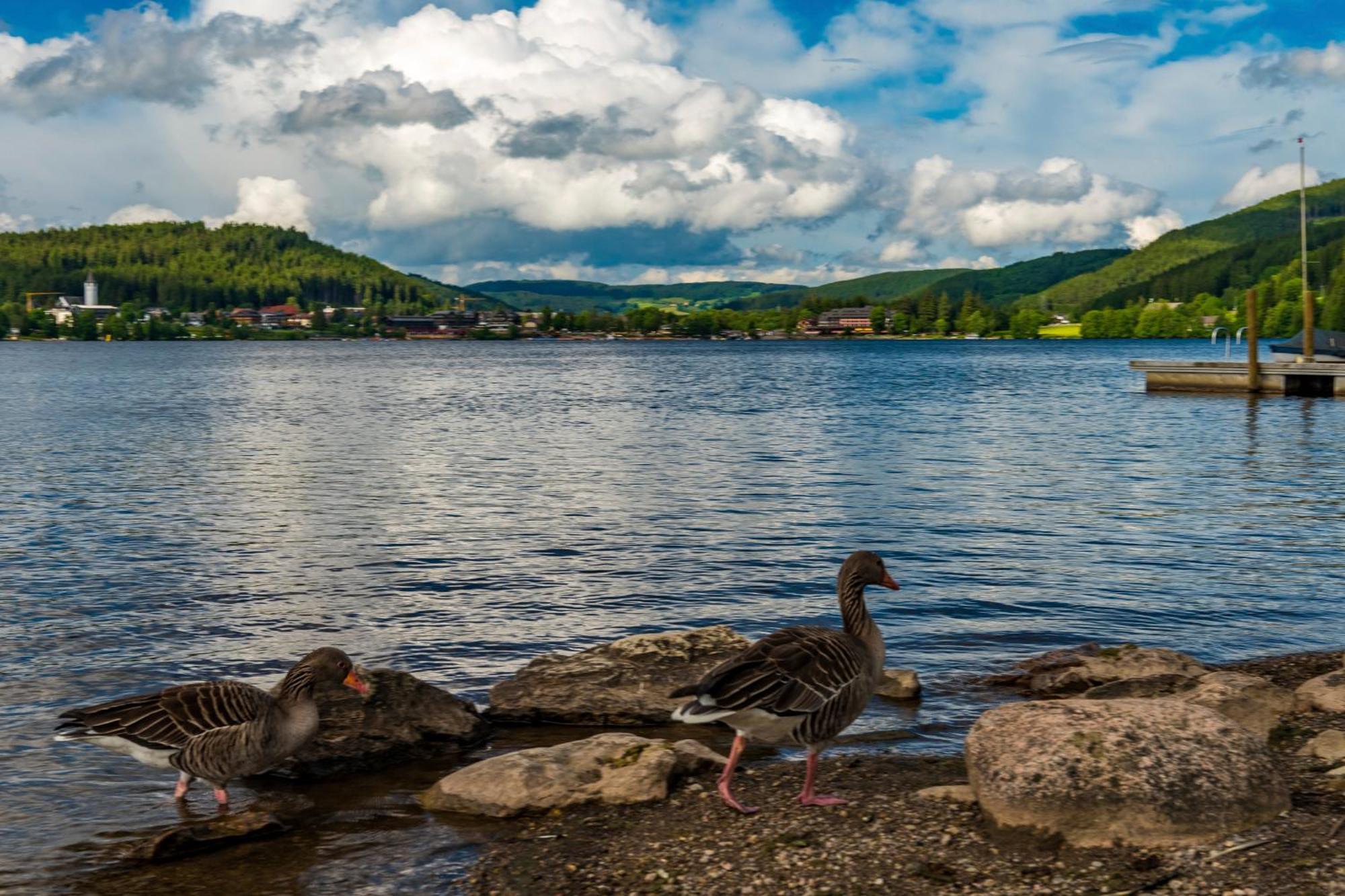 Drei Tannen - Wohnung 12 - Apartmenthaus, Titisee, Nahe Badeparadies المظهر الخارجي الصورة